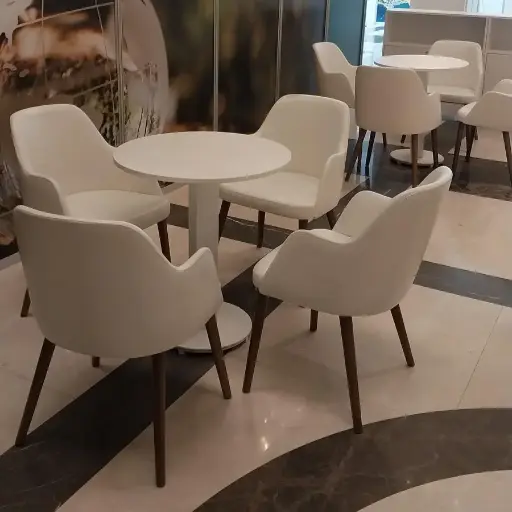 Frezya Koltuk
